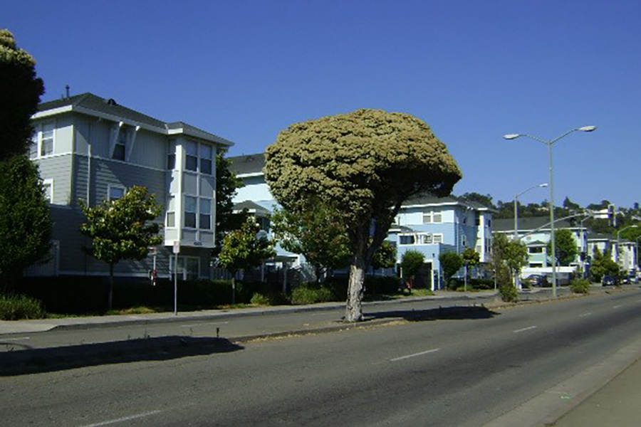 foothill apartments outside