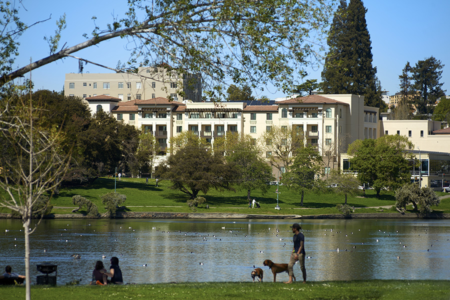 outdoor view of avevista